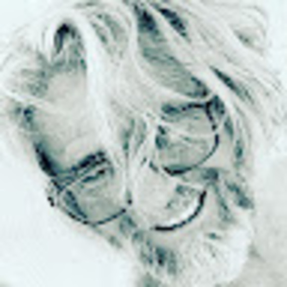 Meet your Posher, Joel - Picture 1 of 1